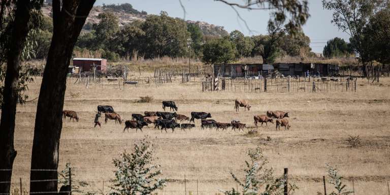 SAFRICA-LESOTHO-MIGRATION-ECONOMY