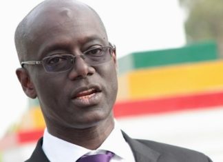 Jeunes années, hobbies et passions privées de l’austère Thierno Alassane Sall, opposant virulent, ex-ministre du Pétrole et dévoileur de secrets d’État