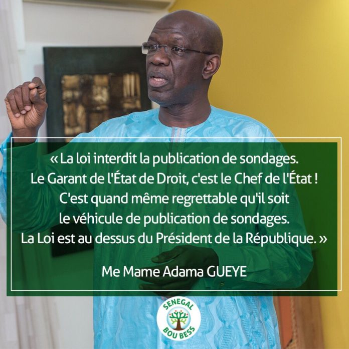 Mame Adame Gueye sondages Macky