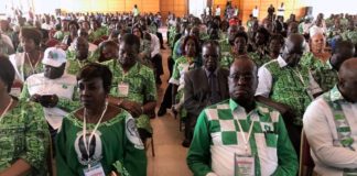 Pour «transhumance politique», le PDCI ivoirien exclut 17 cadres dont 3 ministres en exercice