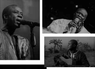 Inventaire des Idoles : « Quintette, cinq nuances de talents » (Par Elgas)