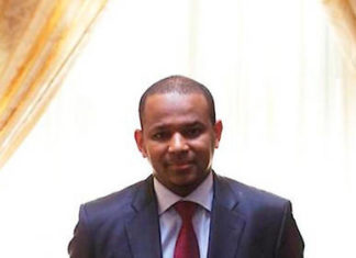 PORTRAIT – Boubou Cissé, nouveau Premier ministre malien