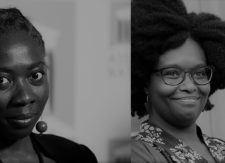 Inventaire des Idoles : « Sibeth Ndiaye & Danièle Obono, fausses jumelles de la Post-colonie » (Par Elgas)