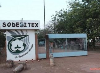 Éco : le compte bancaire SGBS de la Sodefitex saisi
