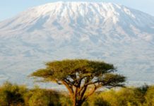 Un téléphérique pour l’ascension du Kilimandjaro par tous ? Projet très contesté du gouvernement tanzanien