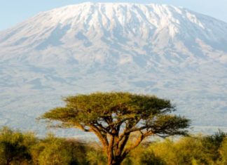 Un téléphérique pour l’ascension du Kilimandjaro par tous ? Projet très contesté du gouvernement tanzanien