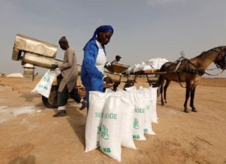 PORTRAIT- Marie Diouf, « Reine du Sel » connaît le succès dans un monde d’hommes