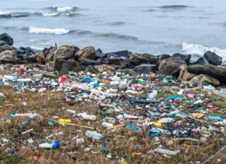 Éradication des sachets plastiques à usage unique : GreenPeace tire les oreilles au gouvernement sénégalais