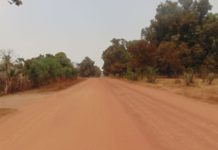 FEUILLETON – Le Retour À Coubanao : « La Route Des Kalounayes » (Épisode 1, par Elgas)