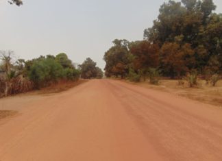 FEUILLETON – Le Retour À Coubanao : « La Route Des Kalounayes » (Épisode 1, par Elgas)