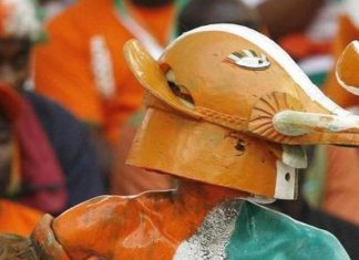 CAN 2019 : Revue de détail des noms exotiques des équipes, des Eléphants aux Pharaons
