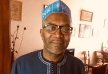 TRIBUNE – La démocratie africaine est une imposture (Amadou Tidiane Wone)