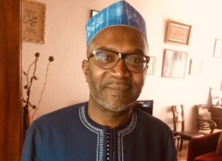 TRIBUNE – La démocratie africaine est une imposture (Amadou Tidiane Wone)