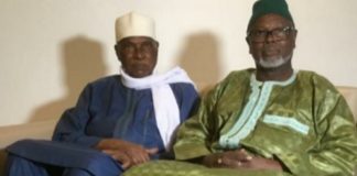 Contexte politique : Alioune Tine chez Abdoulaye Wade