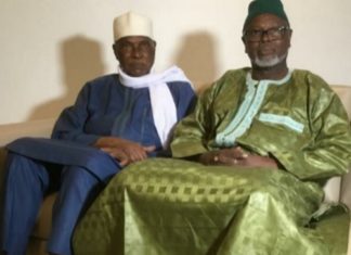 Contexte politique : Alioune Tine chez Abdoulaye Wade