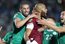 Finale de CAN : Ce sera Sénégal contre Algérie, un sacré client qui a battu les Lions au premier tour