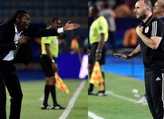 Points communs entre coachs de Sénégal-Algérie : PSG, capitanat, africanité, Champigny
