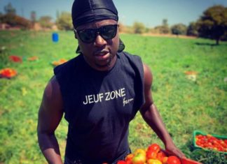 Portrait : Thione Niang, de la campagne d’Obama à la culture de champs de tomates au Sénégal