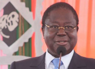 Front anti-Ouattara : L’Ex Bédié courtise Blé Goudé