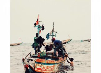 REPORTAGE – Mbour : le marché au poisson et ses « TGV, transports à grande vibration » (charrette et chevaux)
