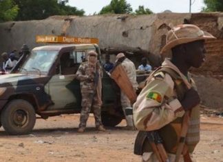 La cruelle plongée du Sahel dans la « marée- cage » de djihadistes