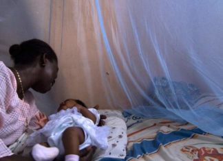 Un rocambolesque « détournement de moustiquaires », entre la Guinée et le Mali