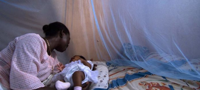 L'espoir de ne plus se faire piquer par les moustiques en Guinée est toujours en mode veille