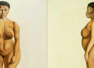 « Expo d’opinions » sur la restitution d’œuvres d’art à l’Afrique