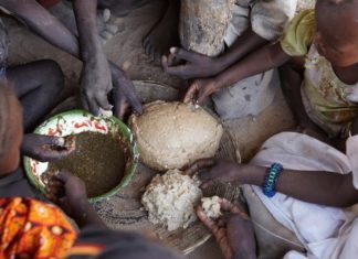 L’Afrique et la vague de faim mondiale : Et le Sénégal dans tout ça ?