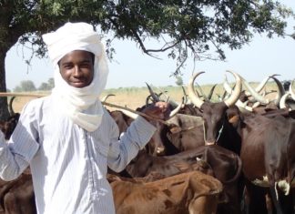 Grand reportage : Les Peulhs et le djihadisme