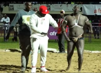 Le lutteur Baye Mandione interdit à vie de combat en Gambie