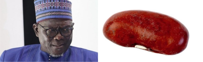 Diakhaté haricot