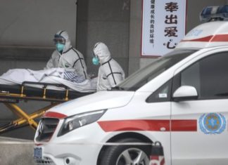 Coronavirus : l’état actuel des connaissances sur le Covid-19