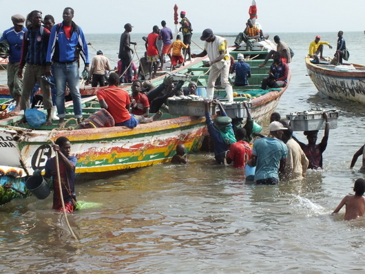 Les-mareyeurs-du-Sénégal