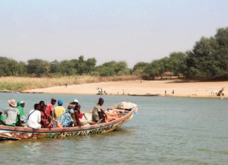 Fleuve Sénégal : les bienfaits d’un fléau