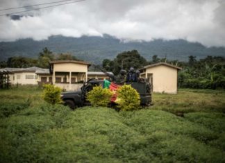 HRW accuse l’armée de la tuerie de civils au Cameroun anglophone