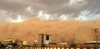 Mauritanie – Sénégal : La tempête de sable /vidéo