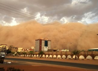 Mauritanie – Sénégal : La tempête de sable /vidéo