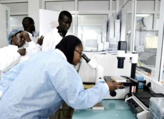 Les scientifiques africains à l’Institut Pasteur de Dakar pour combattre le coronavirus