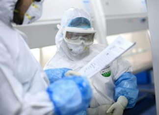 Un modou-modou, cinq cas, le Coronavirus importé et « familiarisé » au Sénégal