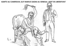 GrIboouille de la semaine : « Kamto au Cameroun, Guy-Marius Sagna au Sénégal : les afro-fessées de Macron »