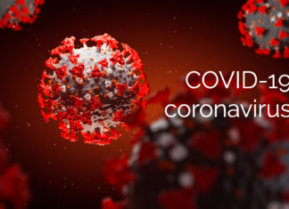 Sénégal : une vingtaine de districts touchés par la maladie du Coronavirus