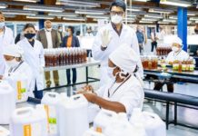 Covid-Organics contre Covid-19 : le président malgache présente son remède / Photos