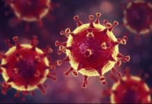 Lutte contre le coronavirus : Les 03 pays africains les plus « innovants »