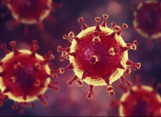 Lutte contre le coronavirus : Les 03 pays africains les plus « innovants »