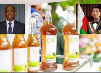« Remède miracle malgache » : Rajoelina dit que le Sénégal a commandé; Macky Sall dit juste « suivre avec intérêt »