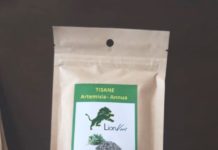 Spéculation sauvage sur l’artemisia au Sénégal