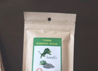 Spéculation sauvage sur l’artemisia au Sénégal