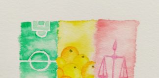 Inventaire des Idoles – « Ferdinand Coly, aux champs d’honneur » (Par Elgas)
