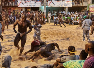 Martial Mixed Arts (MMA) : Cet intérêt soudain du public américain pour les lutteurs sénégalais